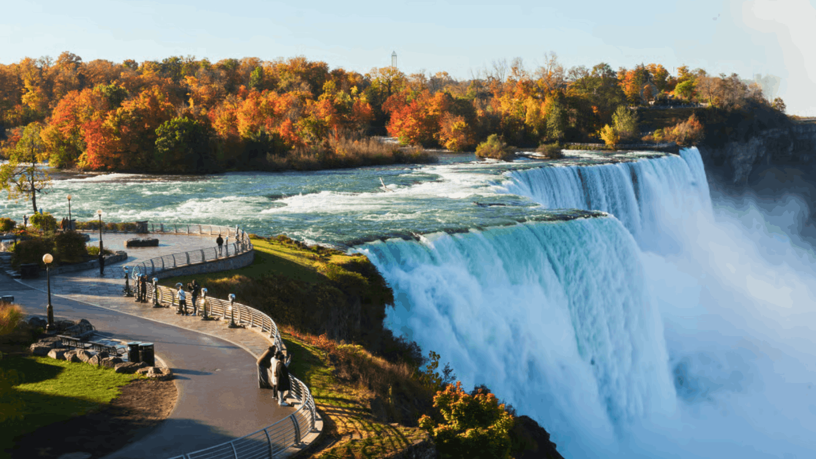 autumn trees above niagara falls