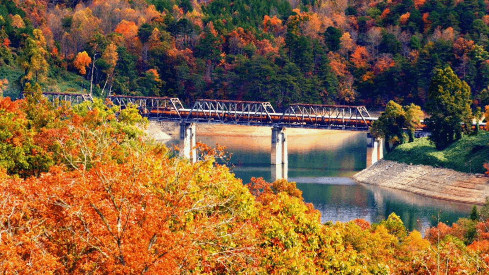 fall foliage in the foreground with a railroad in the background in the blue ridge mountains
